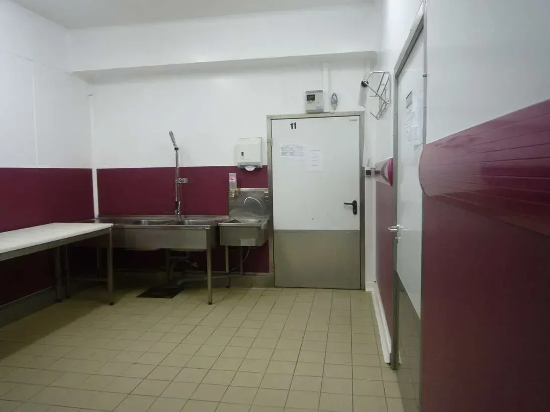 image-15.webp